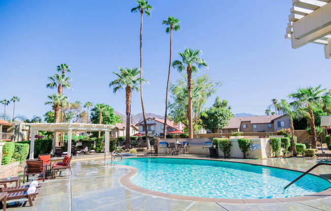 a swimming pool with palm trees