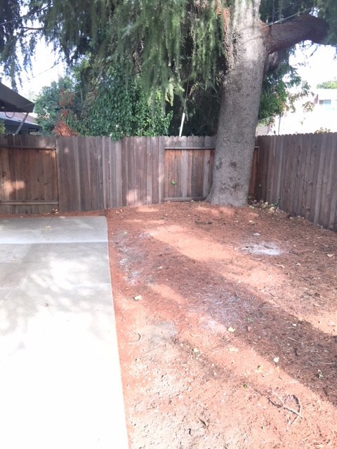 1 bed, 1 bath, 580 sqft, $1,225, Unit 2340-08