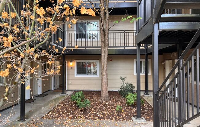 1 bed, 1 bath, 566 sqft, $1,377, Unit 137-101