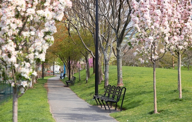 1 bed, 1 bath, 800 sqft, $3,600, Unit 402