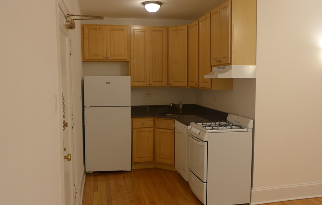 Studio, 1 bath, 300 sqft, $1,395, Unit 303