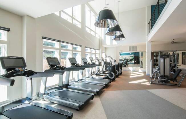 Luxury Apartments in Dallas