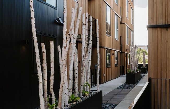 New Condos and Townhomes in City Park West
