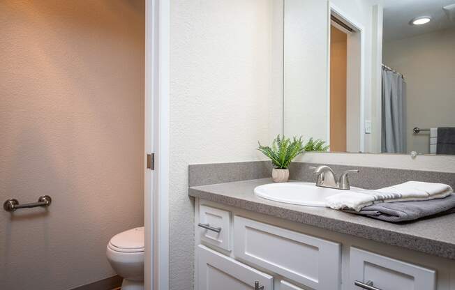 a bathroom with a sink and a toilet and a mirror