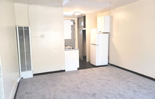 Studio, 1 bath, $795, Unit 303