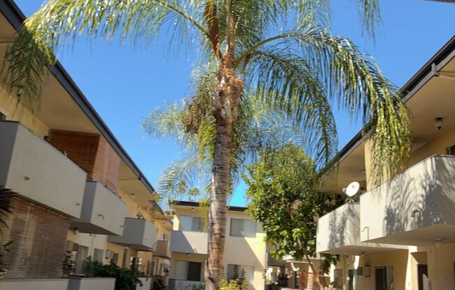 2 beds, 2 baths, 950 sqft, $2,295, Unit 41