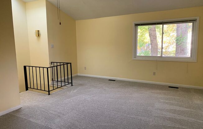 1 bed, 1 bath, $1,125