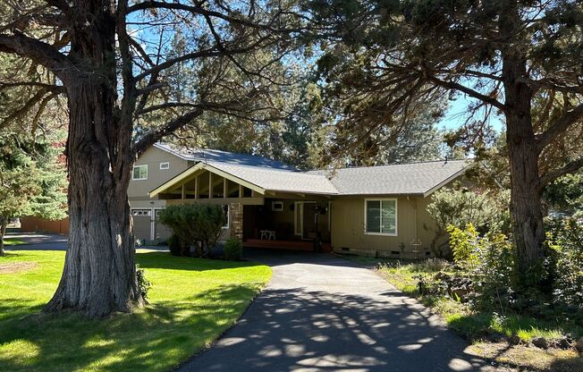 Country Living In The City - 3 Bedroom / 2 Bathroom Home on a Large Corner Lot