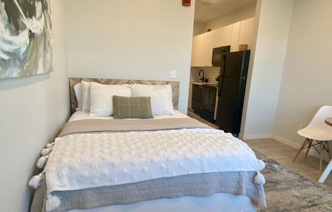 Studio, 1 bath, 365 sqft, $1,015, Unit 221