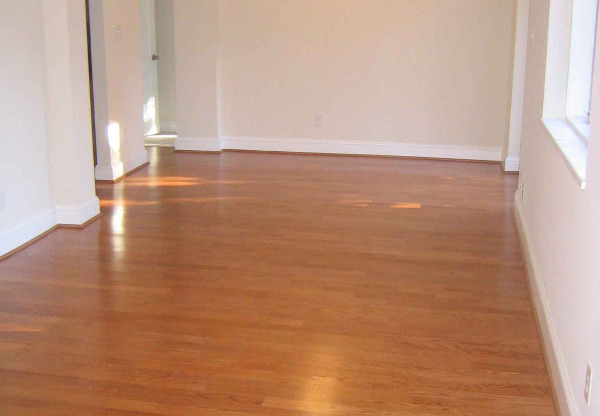 223 DOTGER AVE