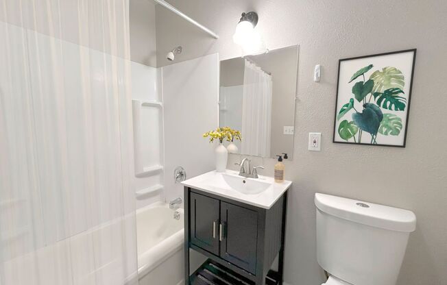1 bed, 1 bath, 552 sqft, $1,745, Unit 102