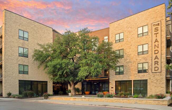 The Stand is a modern building with a large tree in front.
