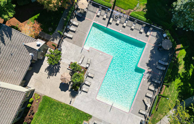 an aerial view of a swimming pool in a backyard