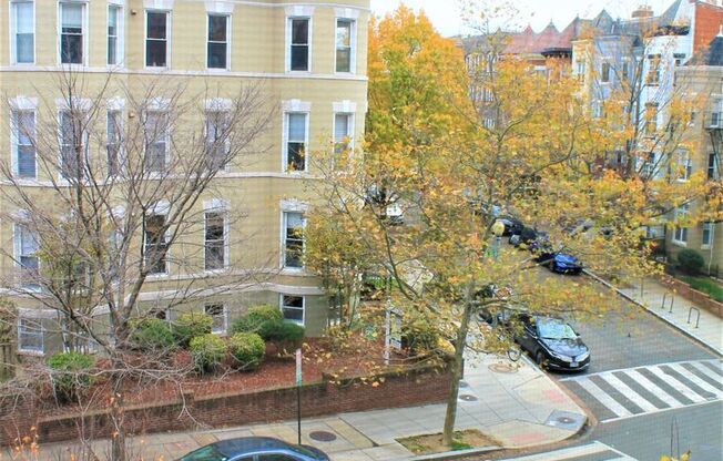 1 bed, 1 bath, 525 sqft, $2,525, Unit 202
