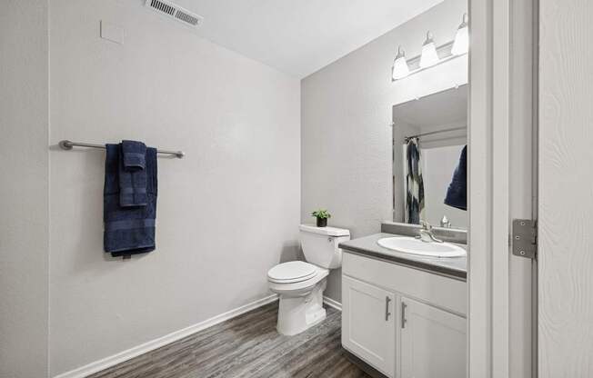 A bathroom with a toilet, sink, and a mirror.