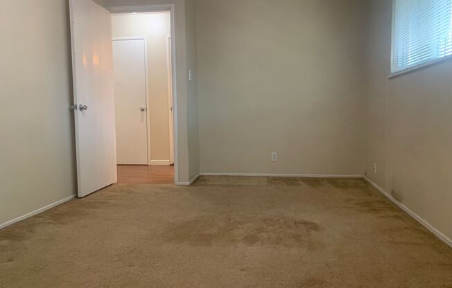 1 bed, 1 bath, $1,450, Unit Unit 3