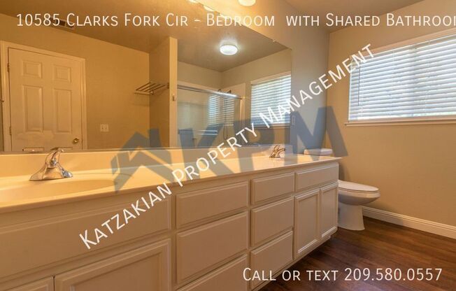 1 bed, 1 bath, 81 sqft, $875