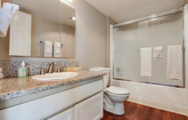 Bathroom with single vanity, granite countertops, wood style floors, hot tub and shower combo