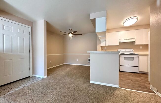 1 bed, 1 bath, 747 sqft, $1,375, Unit 315