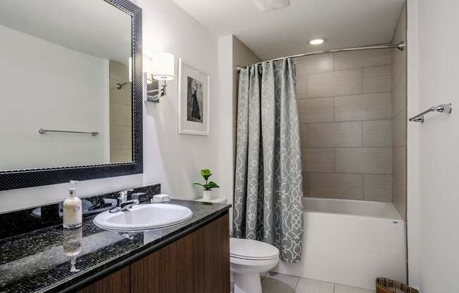 Spa Inspired Bathrooms with Large Tubs