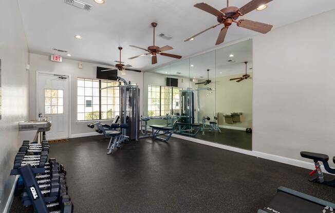 A spacious gym with a variety of equipment including a squat rack, bench press, and a mirror.