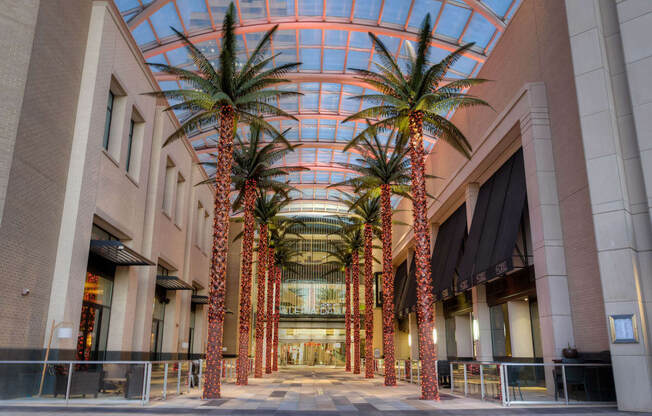 Endless Options for Shopping Exploring and Entertainment at Windsor by the Galleria, Texas, 75240
