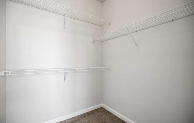 an empty closet with white walls and shelves and a carpet