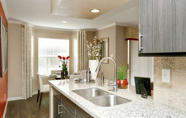 a kitchen with a sink and a counter top