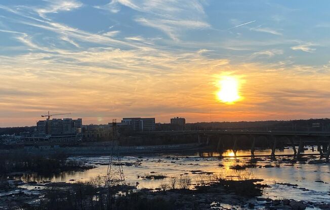 1 bed, 1 bath, $1,600