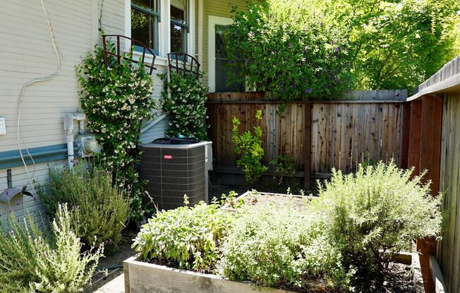 Charming Craftsman Style Home for Rent in Walking Distance to Downtown Palo Alto