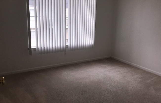 2 beds, 2 baths, $1,600