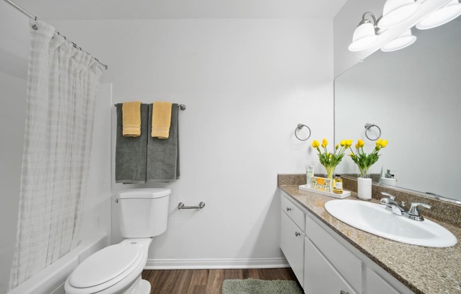 our apartments offer a bathroom with a shower