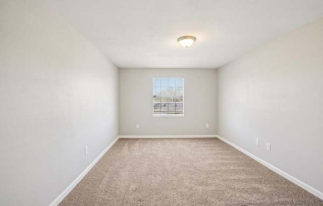 A room with a carpeted floor and a window showing a view of a parking lot.