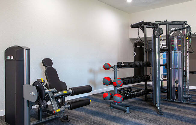 Fitness Equipment at Avani North Apartments