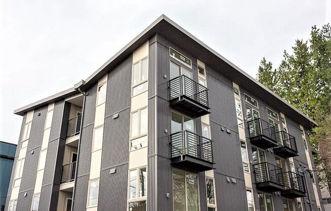 Studio, 1 bath, 255 sqft, $1,495, Unit 304