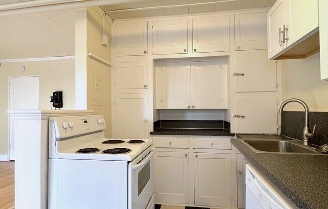 1 bed, 1 bath, 700 sqft, $1,295, Unit A
