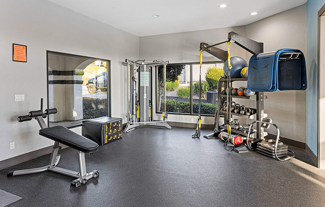A home gym with a bench, weights, and exercise equipment.