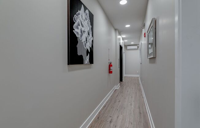 Brand New Luxury Apartments
