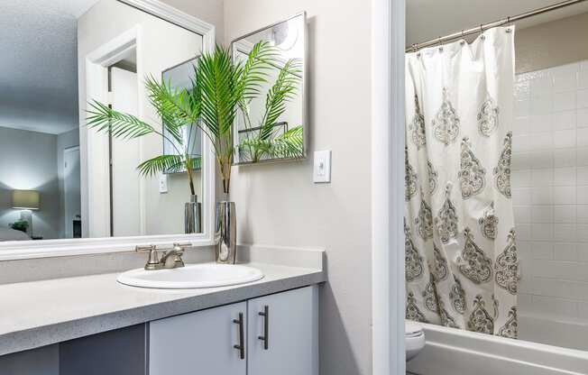 a bathroom with a sink and a mirror and a shower