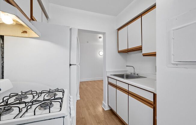 1 bed, 1 bath, 600 sqft, $990, Unit 301