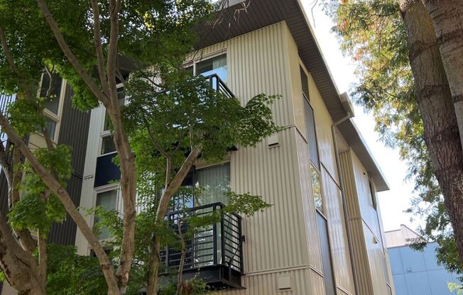 1 bed, 1 bath, 346 sqft, $1,795, Unit 405
