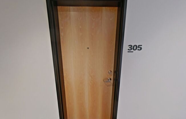 Studio, 1 bath, 314 sqft, $1,225, Unit 305