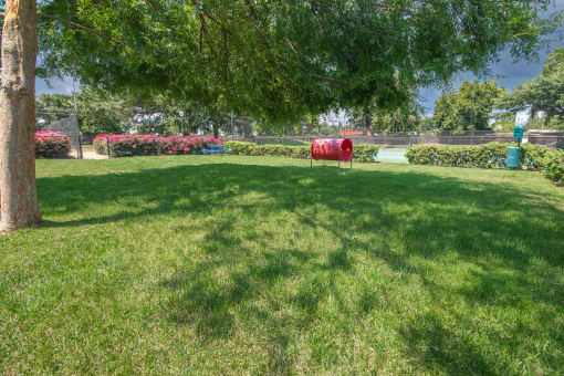 Large, shaded, grassy pet area
