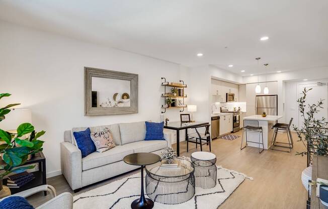 Apartment Living Room
