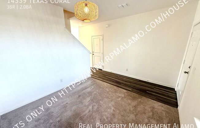 14339 TEXAS CORAL
