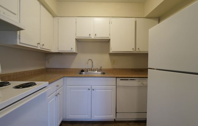 2 beds, 1 bath, 800 sqft, $970, Unit B304