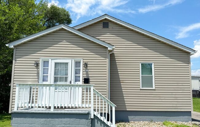 Move in Ready...917 Grand Ave, Madison, IL 62060