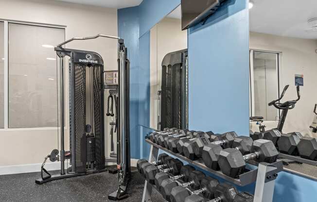 a gym with weights and a tv in the corner