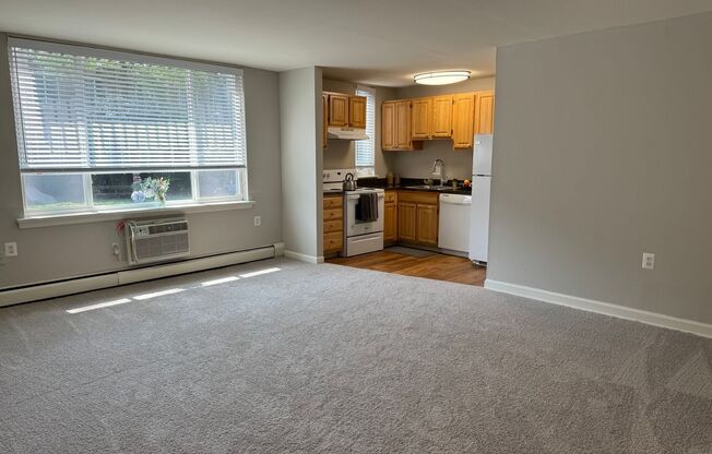 1 bed, 1 bath, 600 sqft, $1,420, Unit 162