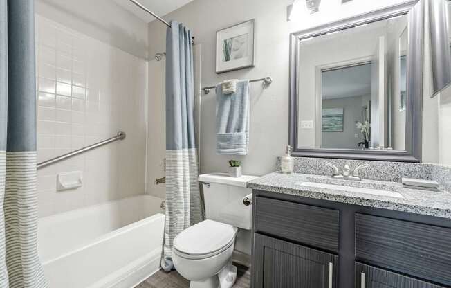 A bathroom with a white toilet, a white bathtub, and a grey counter.